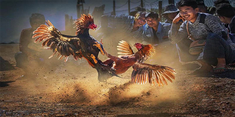 b52 win xổ số bữa nay