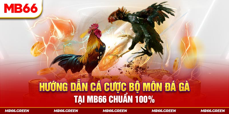 b52 win slot là gi