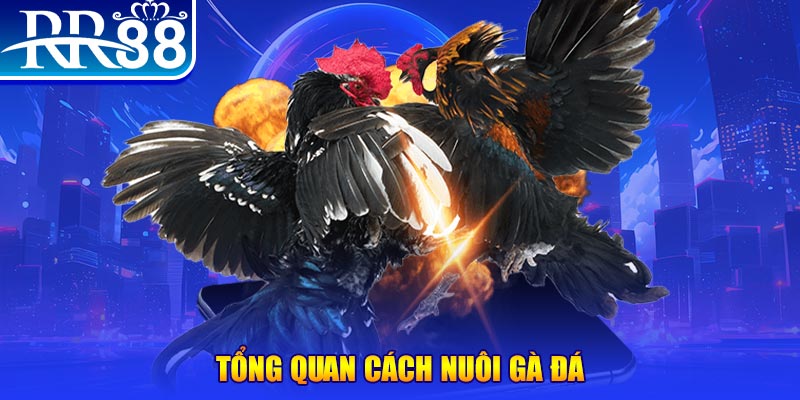 b52 win game nổ hũ rút tiền mặt là gì