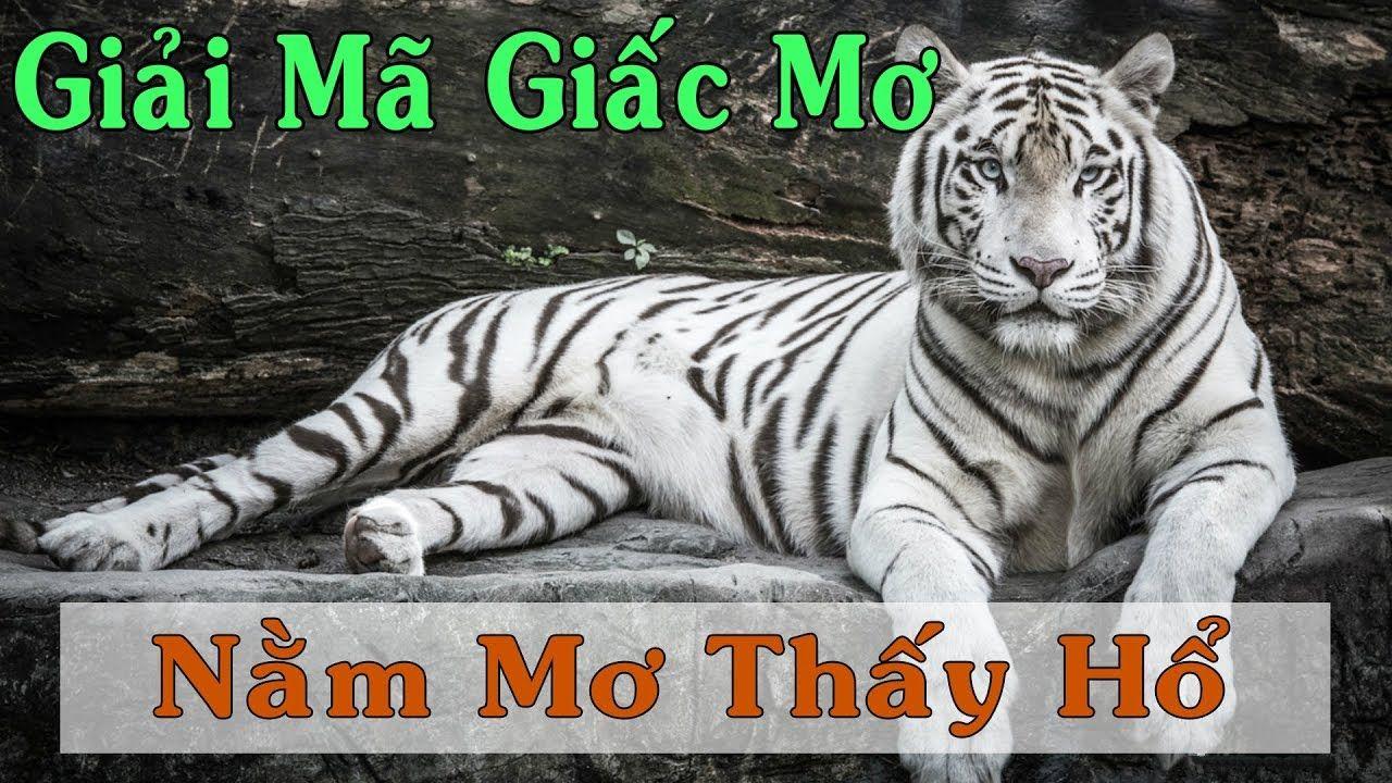 b52 win nổ hũ là game gì