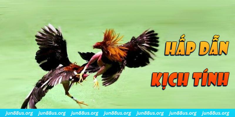 b52 win đăng nhập roulette online