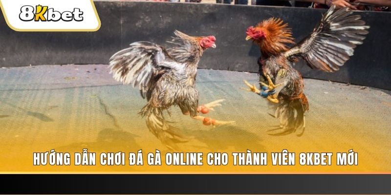 JILI Game Bài 3d