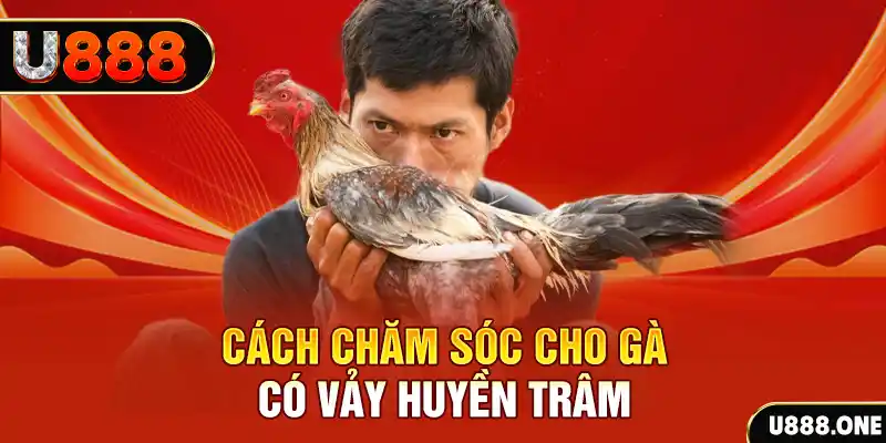 b52 win bắn cá xèng 3