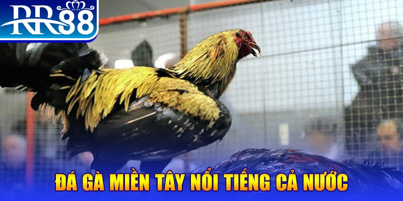 b52 win xổ số đại phát