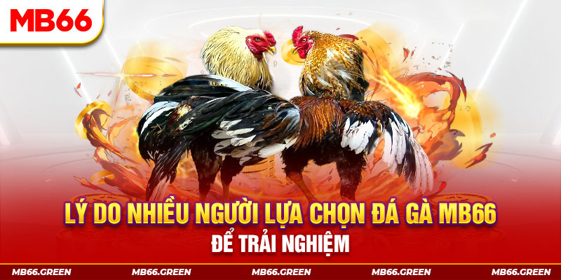 b52 win tai game danh bai tien len mien nam ve may tinh