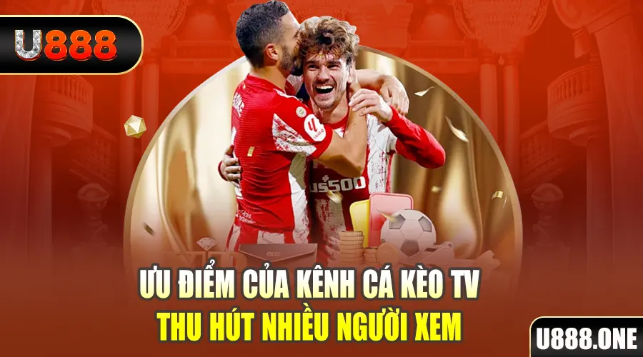 b52 win gà chọi cu cần