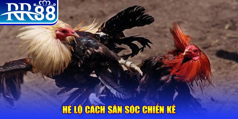 b52 win xổ số miền trung thứ tư