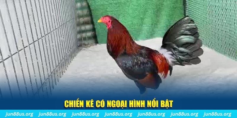 b52 win game bắn cá