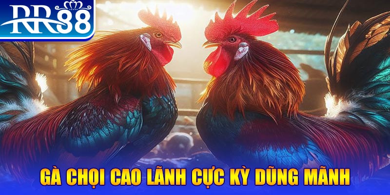 b52 win HB Điện Tử