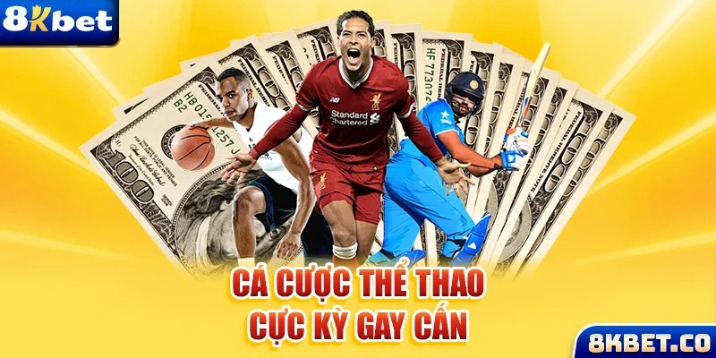 b52 win xem đá gà trực tiếp